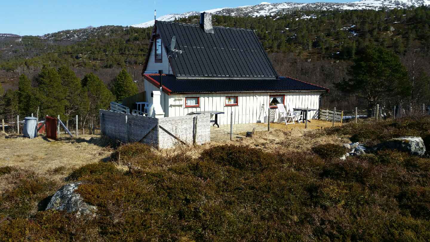 Høykråa